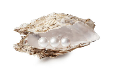 Oyster with pearls isolated on white.