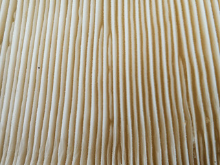 A picture of artificial mushroom cultivation.