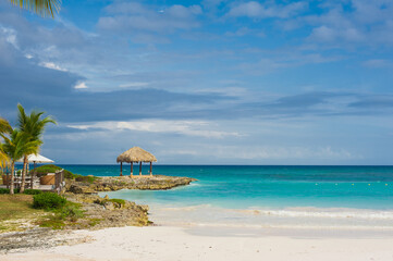 Obraz premium Palm trees on the Wild tropical caribbean sand beach in Dominican republic. tranquil resort. Caribbean Sea. sunset time, Seychelles islands