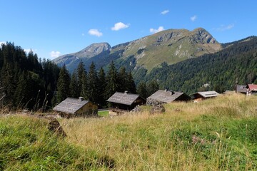 Fototapeta na wymiar Chalets du village des Lindarets dans les Alpes françaises