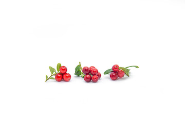  Lingonberry berries on a white background.