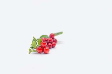  Lingonberry berries on a white background.