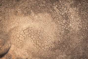 Dry land Cracked texture background for Global warming concept