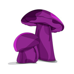 Two purple forest mushrooms on a white background. Sketch vector file.