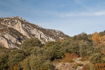 Mountain and forest in the Natural Park of the Mountains and Canyons of Guara. Huesca. Aragon. Spain.