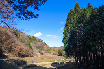 青空に映える秋の里山（大阪府高槻市仁科の安威川沿い）