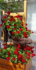 Fototapeta na wymiar Flowers in a decorative basket