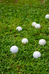 Top view of golf white ball on tee, with more balls out of focus, on grass field, in vertical