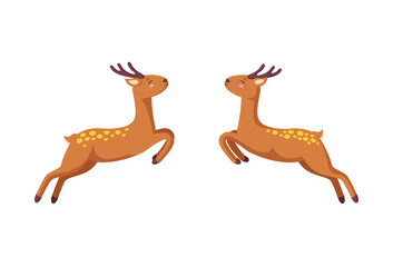 Cheerful reindeer jumping to each other. Woodland deer in cute cartoon style. Isolated vector illustration