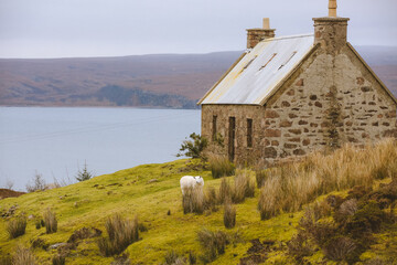 Fototapeta na wymiar Farmhouse by the sea, Loch Torridon, Fearnmore, Strathcarron,Scottish highlands