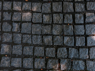 Grey dark paving stones with sun glare in autumn        
