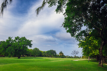 Golf course in Dominican republic. field of grass and coconut palms on Seychelles island.