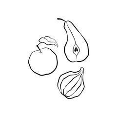 Apple with leaf, slice of pear and fig vector illustration, linear style, side view. Monochrome fruit clipart isolated on white backdrop. Good for icons, label, poster, print, cards, menu, packaging.