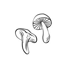 Two mushrooms vector illustration, linear style, side view. Monochrome autumn clipart isolated on white background. Good for icons, label, poster, print, blogs, cards, menu, packaging.