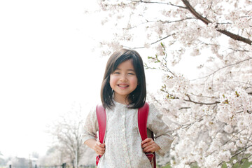 桜と新一年生