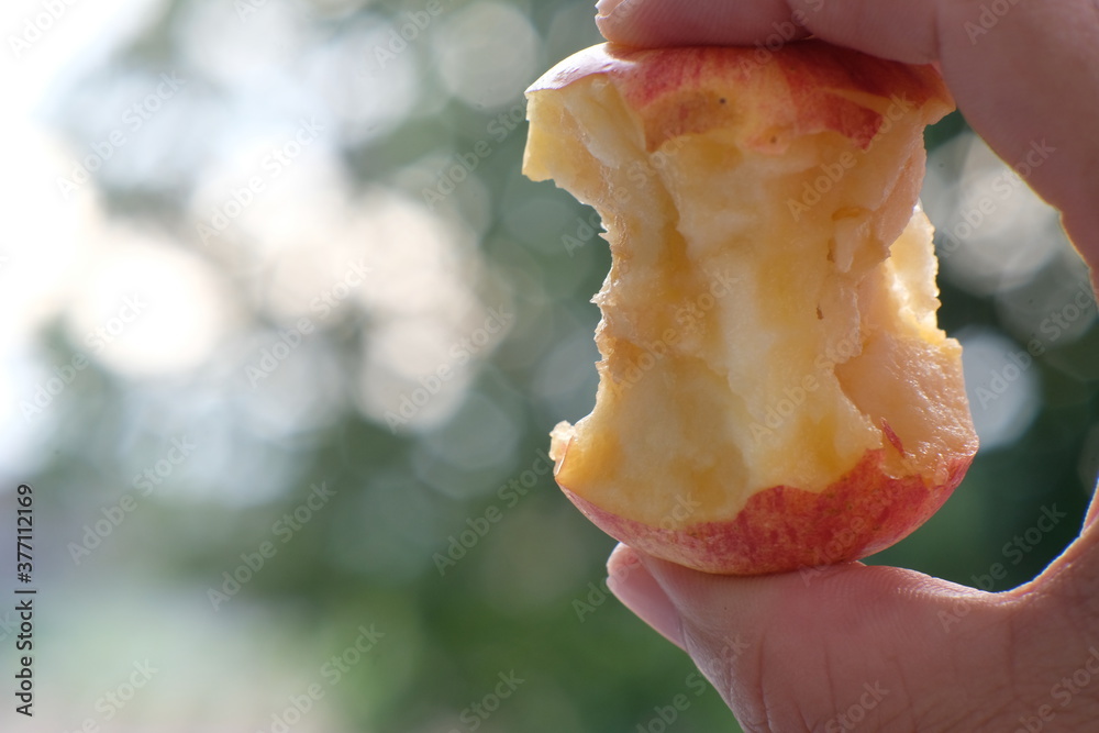 Canvas Prints close up Red Apple on bokeh background