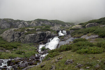 Fototapeta na wymiar Alpine stream with waterfalls. Alpine stream in the fog among the rocks overgrown with green bushes. Hanging valley of the Koshtansu river. Caucasus.