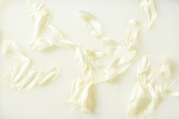 Milk water with white petals. Beauty spa and wellness treatment with flower petals
