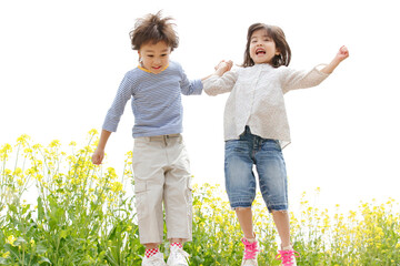 Fototapeta premium 菜の花畑で手を繋ぐ子供