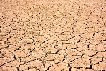Paisaje con la tierra agrietada debido a la sequía