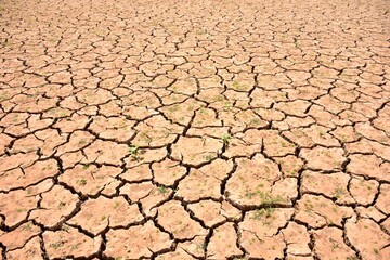 Paisaje con la tierra agrietada debido a la sequía