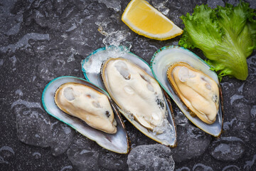 Fresh mussels on ice with lemon and lettuce for cooked food - Seafood shellfish steamed mussels