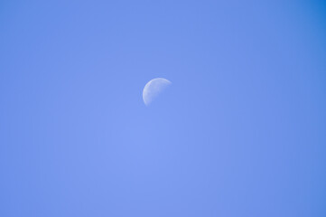 Last quarter moon in daytime with a clear blue sky
