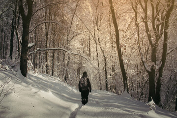 man hiking in snowy woods at sunset