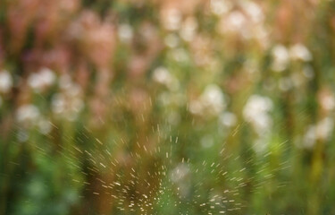 Abstract background in bright beige and brown.