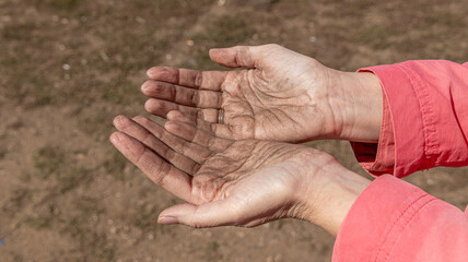 Women's hands are stained with the dust of the earth. Close up