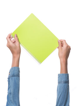 child's hands holding ring notebook, white background