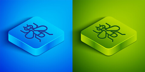 Isometric line Insect fly icon isolated on blue and green background. Square button. Vector.