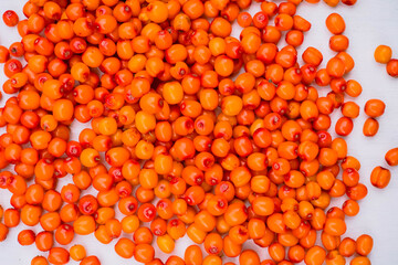 Ripe berries of sea-buckthorn berries