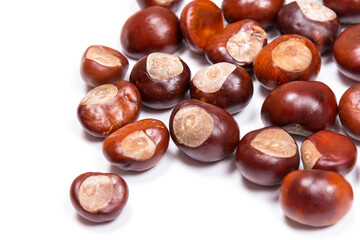 Autumn - Fresh chestnut fruits, Castanea, Horse-chestnut (Aesculus hippocastanum), close up
