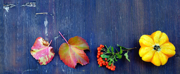 Autumn border with pumpkin, leaves and berries on shabby wooden board, banner, header, headline,...