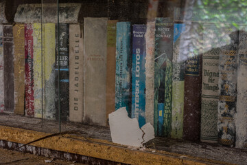 old books in a glass showcase