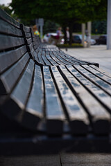 Summer streets of Kharkiv