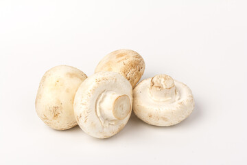 Fresh Champignon mushroom, isolated on white background. Close-up
