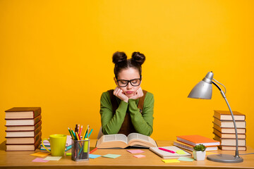 Portrait of her she attractive focused diligent girl nerd geek reading vocabulary learning grammar preparing exam test task isolated bright vivid shine vibrant yellow color background