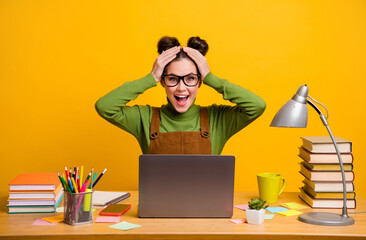 Portrait of her she attractive amazed cheerful cheery skilled girl geek programmer working remotely...