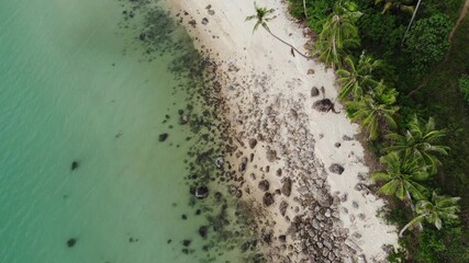 Fototapeta na wymiar Stones on tropical beach near sea. From above rough boulders located on sandy beach near green palms and blue sea water on Koh Samui, Thailand. Dream beach drone view. Relax and holiday concept.