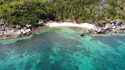 Bungalows and green coconut palms on tropical beach. Cottages on sandy shore of diving and snorkeling resort on Koh Tao paradise island near calm blue sea on sunny day in Thailand. Drone view.