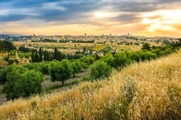 Fototapeta premium Beautiful sunset clouds over the Old City Jerusalem with Dome of the Rock, the Golden/Mercy Gate and St. Stephen's/Lions Gate; view from the Mount of Olives with olive trees and dry grassy hill