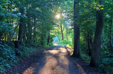 Fototapety na wymiar - Fototapeta24.pl