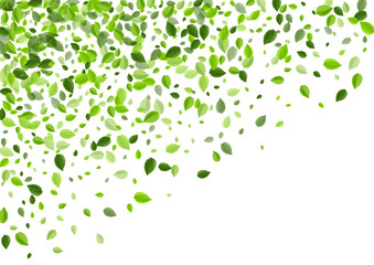 Swamp Leaf Wind Vector Background. Realistic 