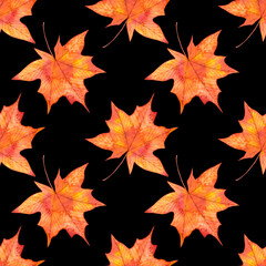 Autumn watercolor seamless pattern with red maple leaves.Hand drawn illustration.Isolated on black background.Seasonal ornament for fabric,textile,wallpaper,wrapping paper,thanksgiving design projects