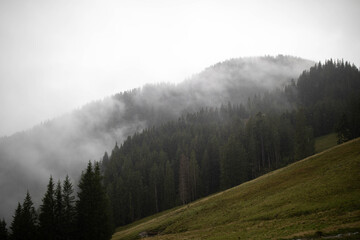 Berglandschaft im Nebel