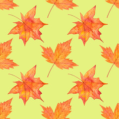 Naklejka na ściany i meble Autumn watercolor seamless pattern with red maple leaves.Hand drawn illustration on yellow background.Seasonal ornament for fabric,textile,wallpaper,wrapping paper,gifts,thanksgiving design projects.