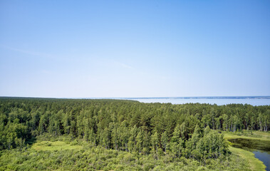 Naklejka na ściany i meble Aerial photo of forest bog in the Karakansky pine forest near the shore of the Ob reservoir.
