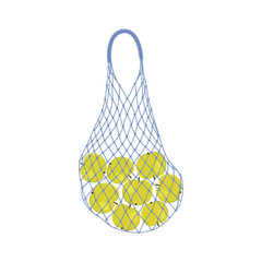 Apples in a string bag. Shopping bag with fruits. Food Delivery Concept. Vector illustration on a white background
